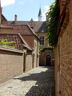 Beweeg de muis over de kleine afbeelding voor vergroting